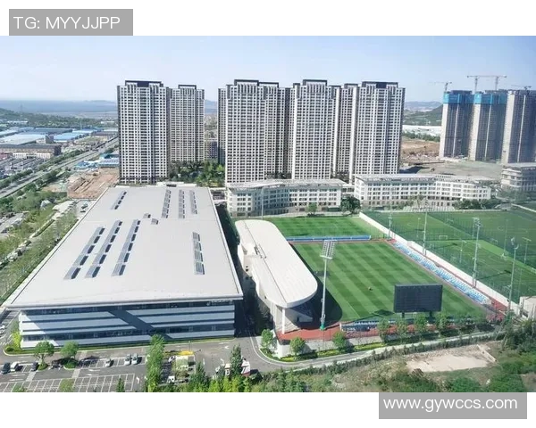 中国足球训练基地建设现状与未来发展展望分析