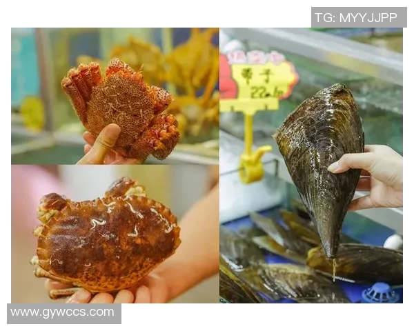 容桂东湖足球场周边美食与休闲活动全攻略尽享足球赛事的乐趣与生活的美好 容桂东湖足球场周边美食与休闲活动全攻略尽享足球赛事的乐趣与生活的美好